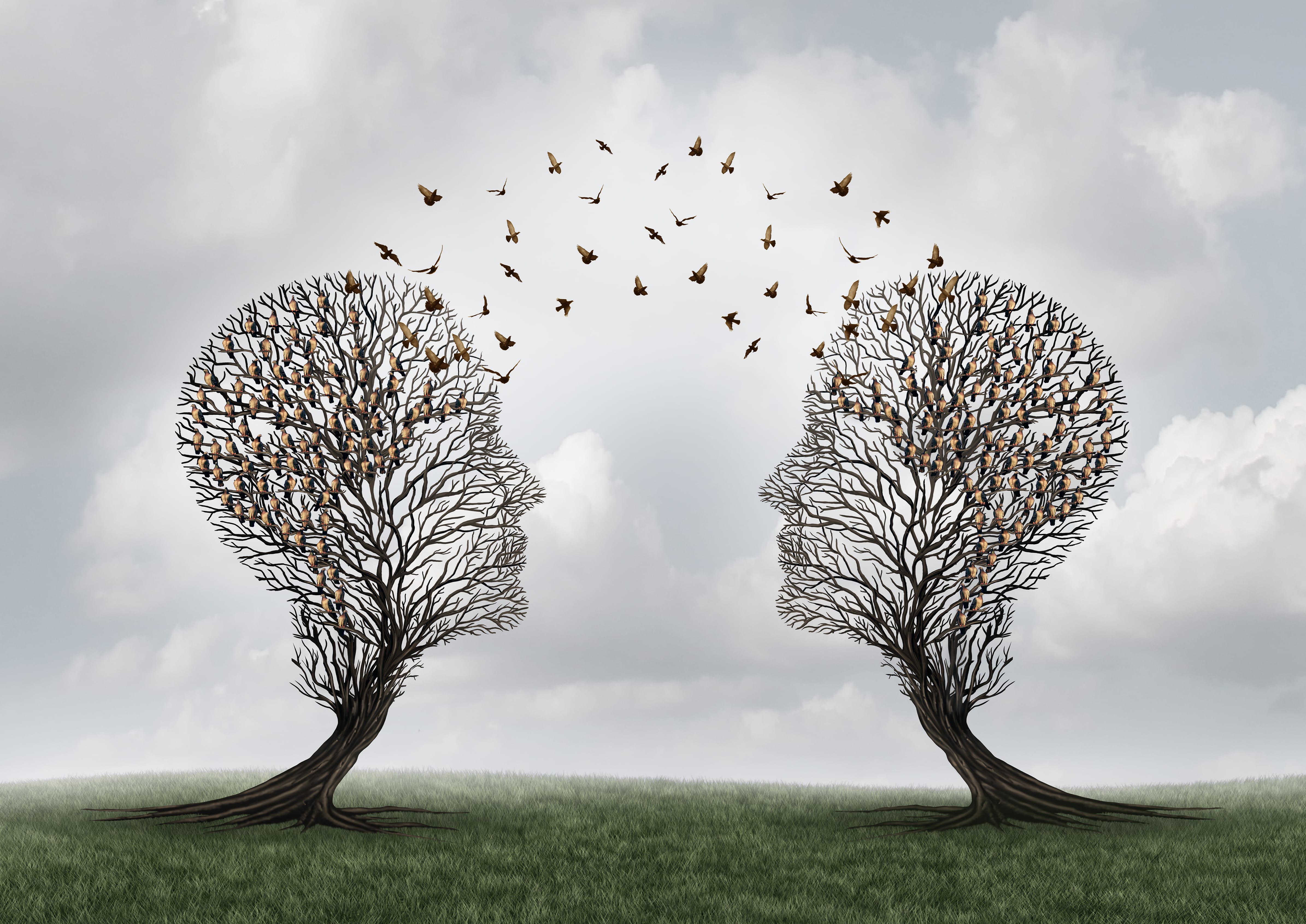 Communication and New Perspectives