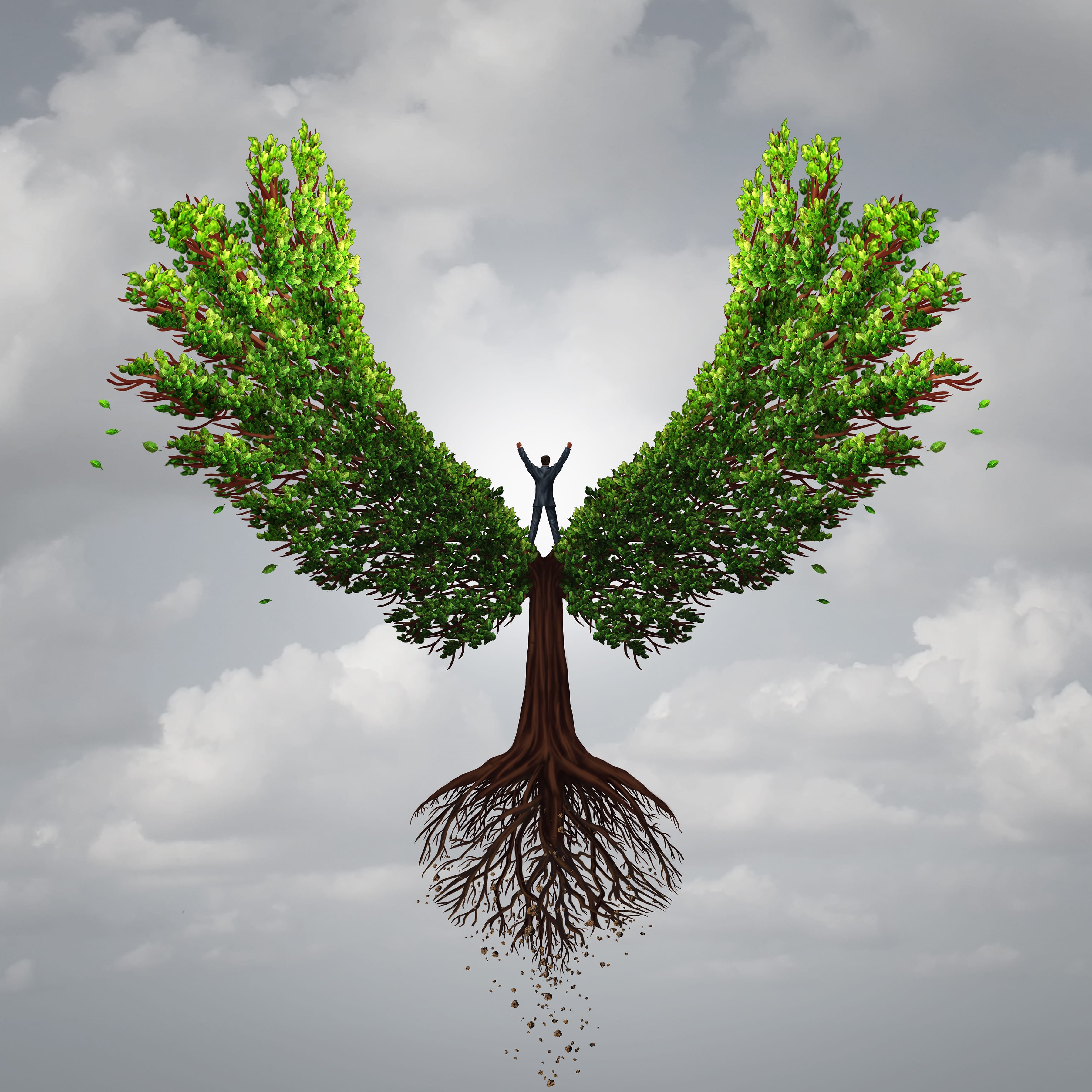 NLP’s Role in the Mind-Body Connection