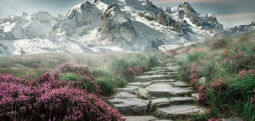 Pathway to mountain range.