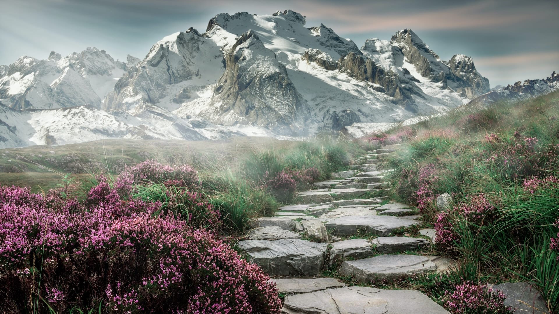 Pathway to mountain range.